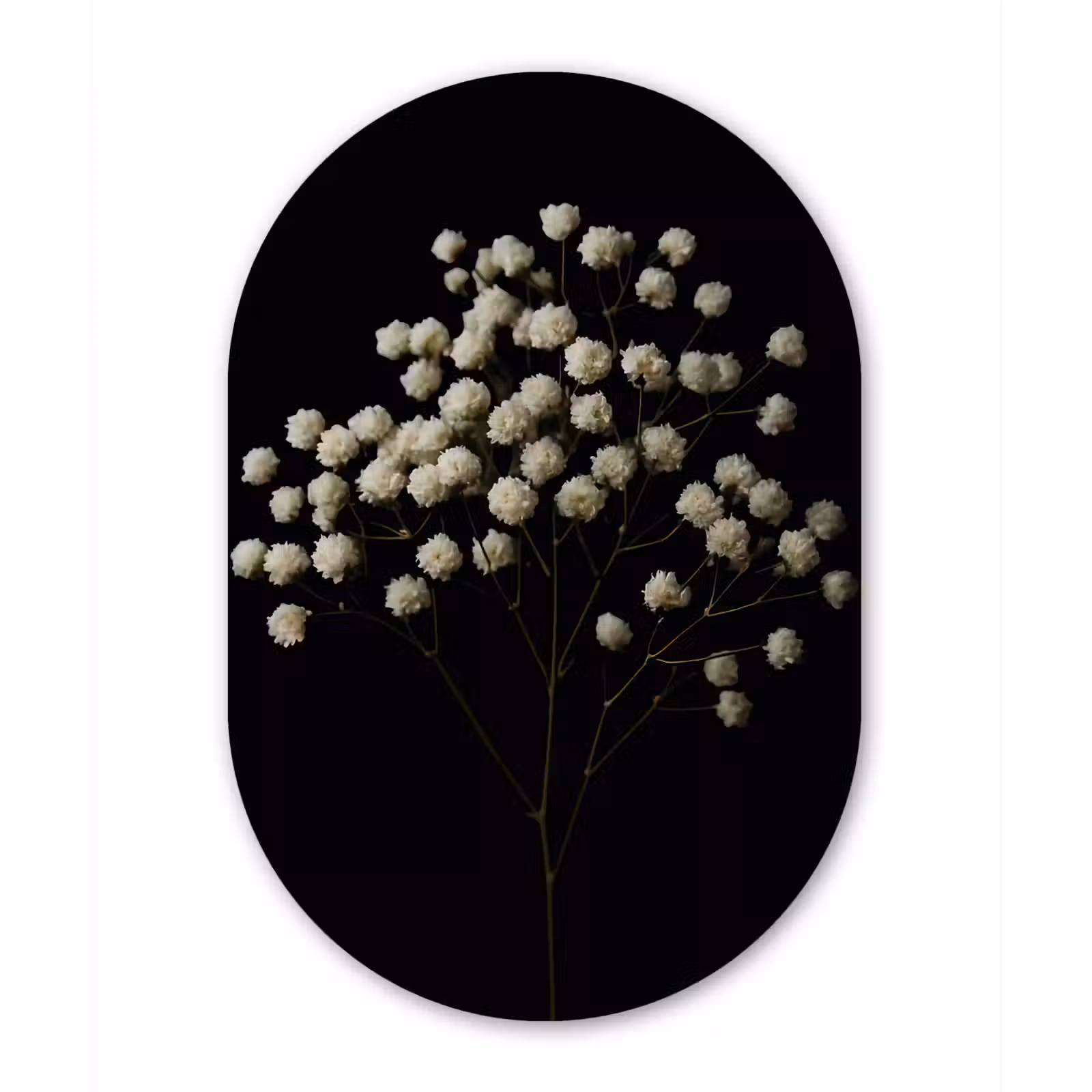 Muurovaal - Glas - Gipskruid - Bloemetjes - Wit - Minimalistisch — 1