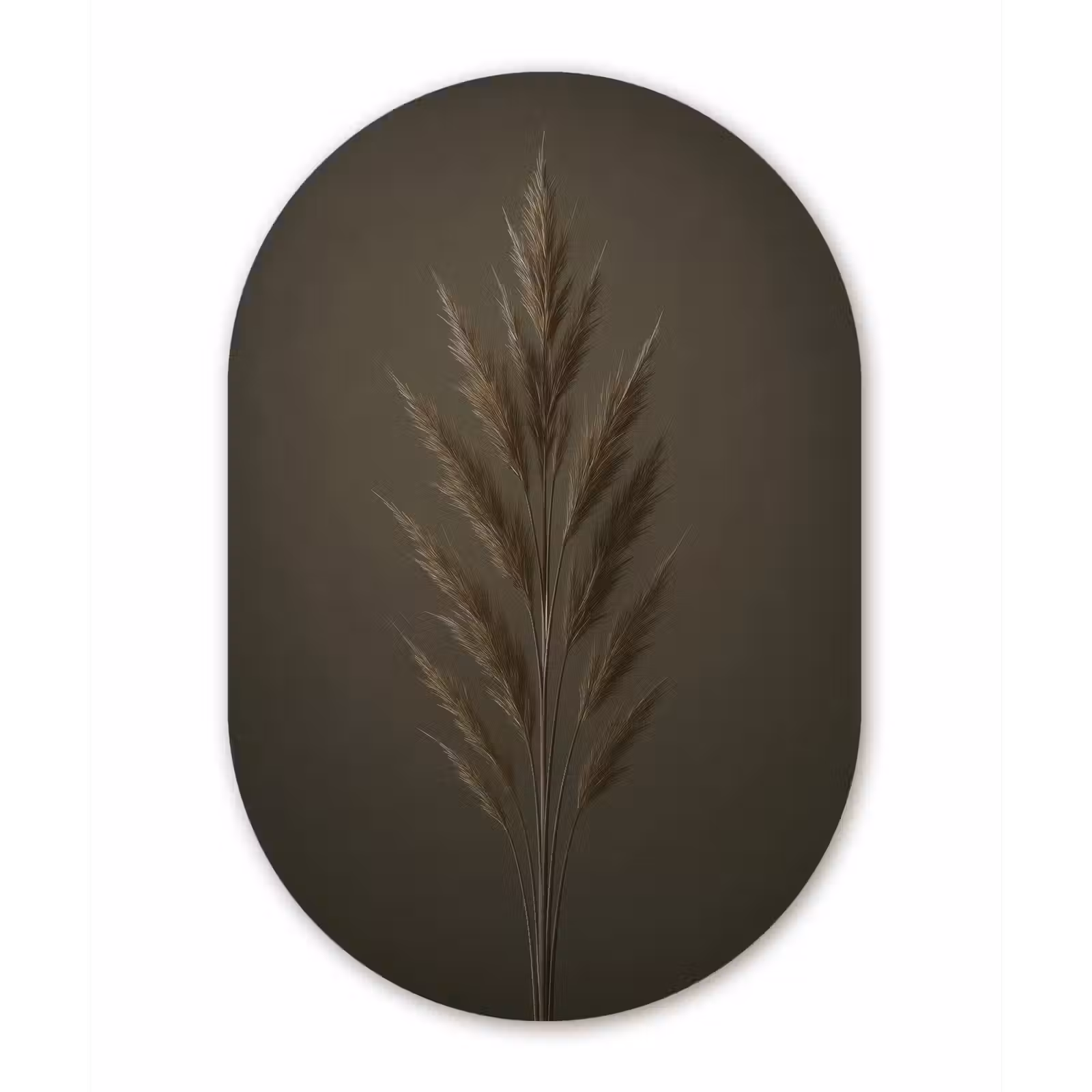 Muurovaal - Glas - Tak - Pluimgras - Donkerbruin — 1