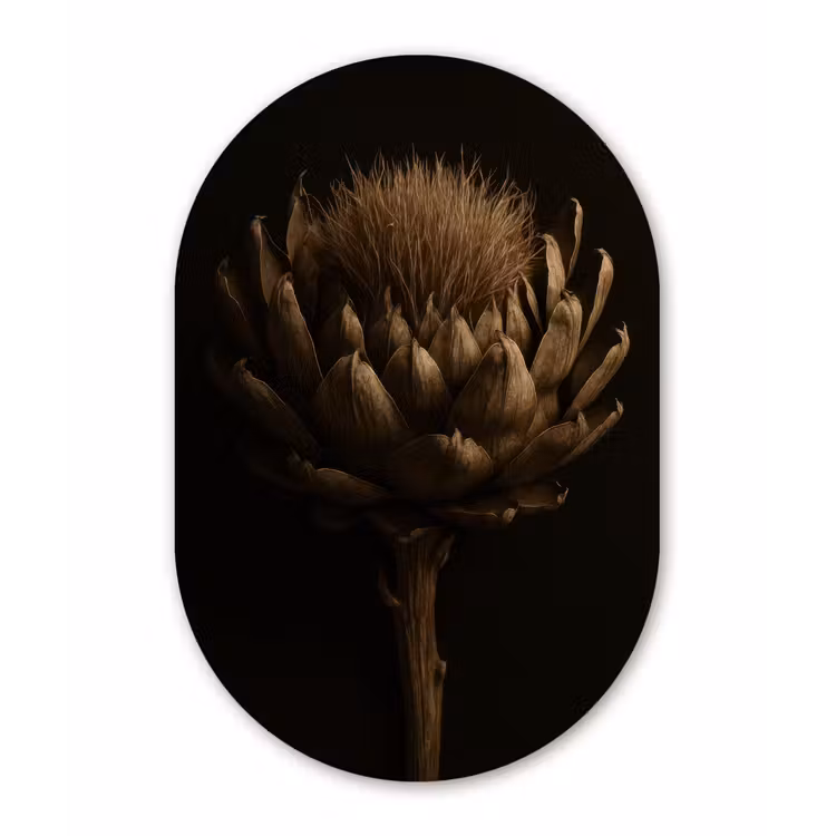Muurovaal - Glas - Donkerbruin - Bloem - Textuur - Artisjok — 1