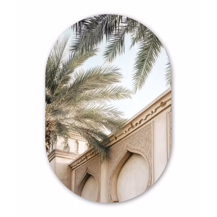 Muurovaal - Glas - Gebouw - Palmbomen - Beige - Zon — 1