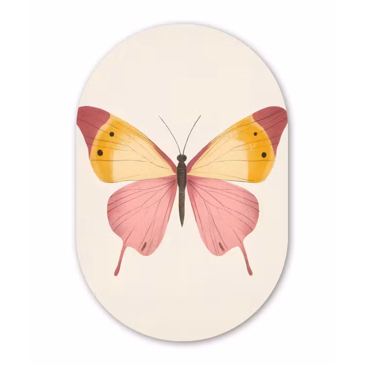Muurovaal - Glas - Vlinder - Illustratie - Roze — 1