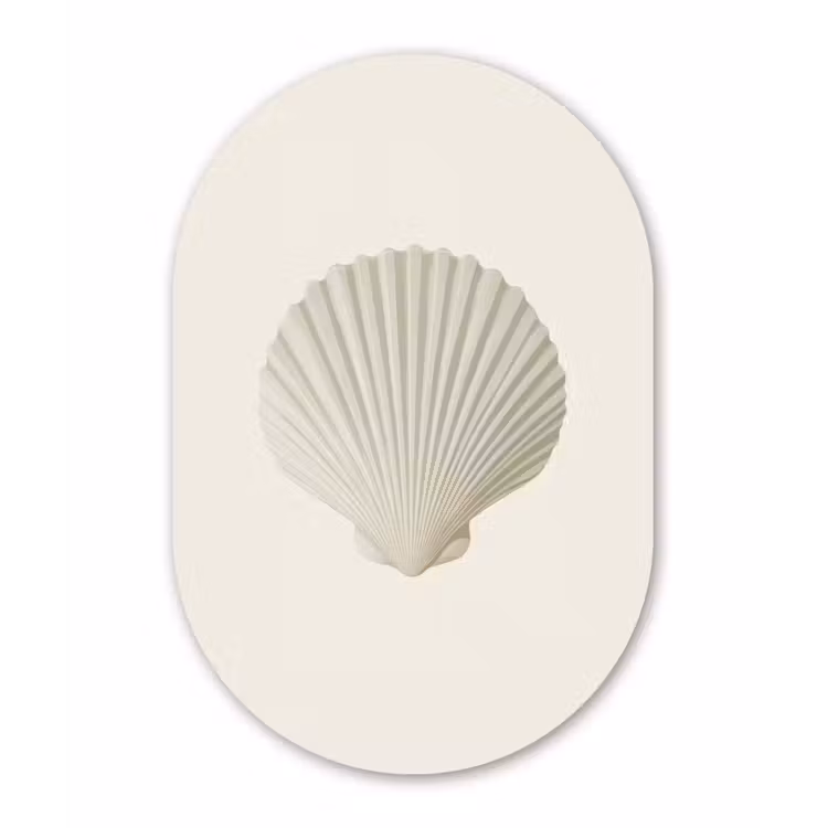 Muurovaal - Glas - Schelp - Minimalistisch - Wit — 1