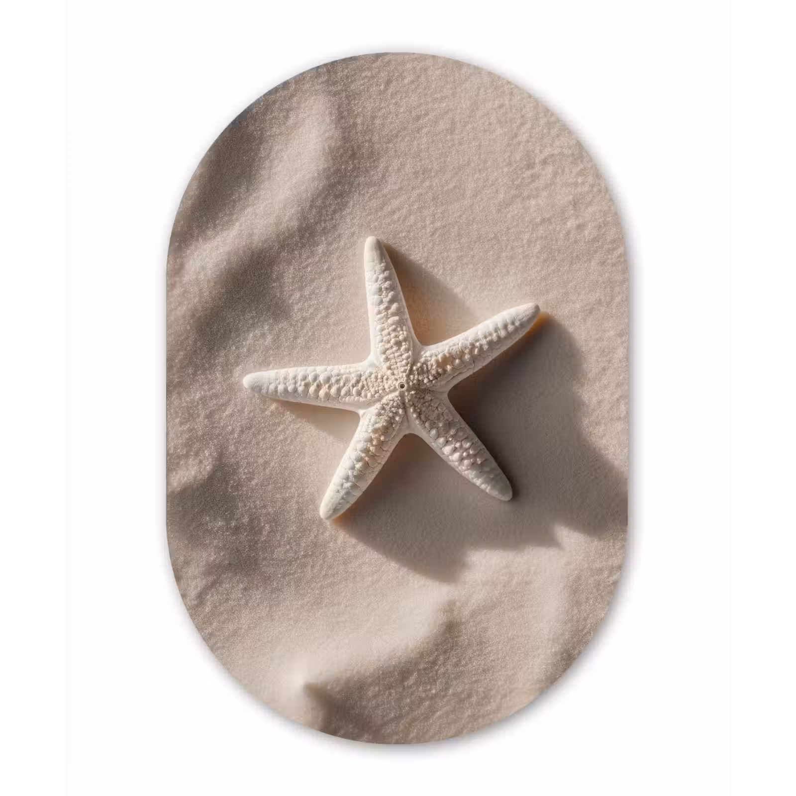 Muurovaal - Glas - Strand - Zeester - Zand - Beige — 1