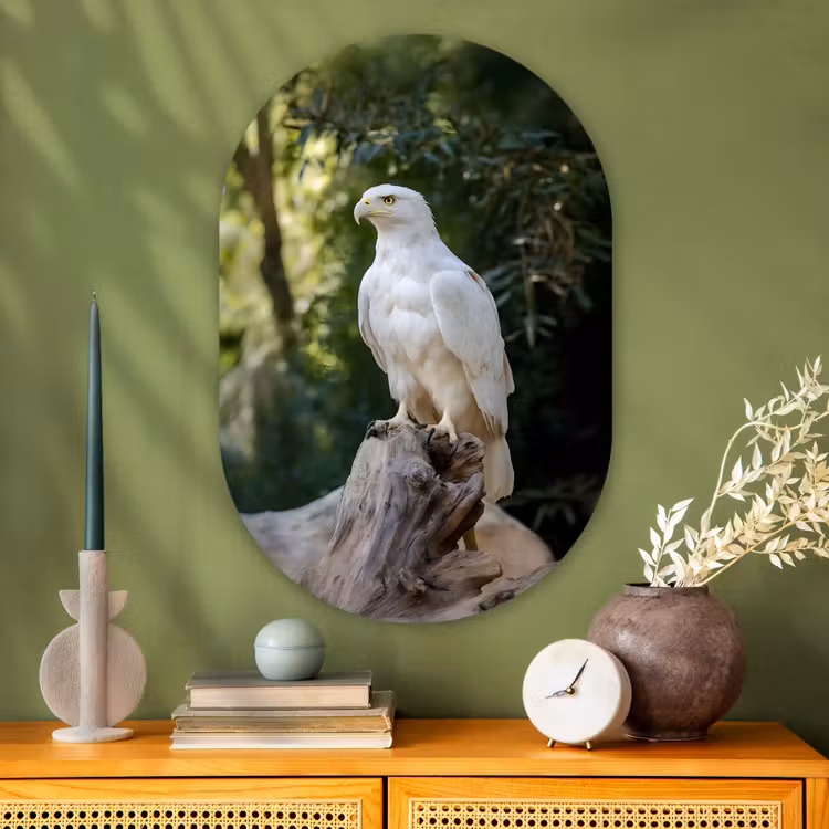 Muurovaal - Glas - Arend - Hout - Wit - Planten — 2
