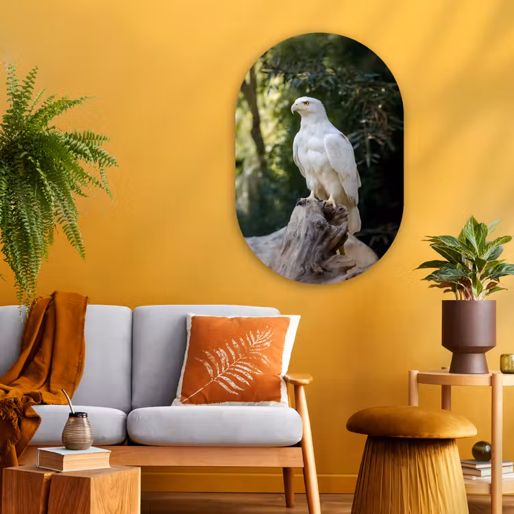Muurovaal - Glas - Arend - Hout - Wit - Planten — 3