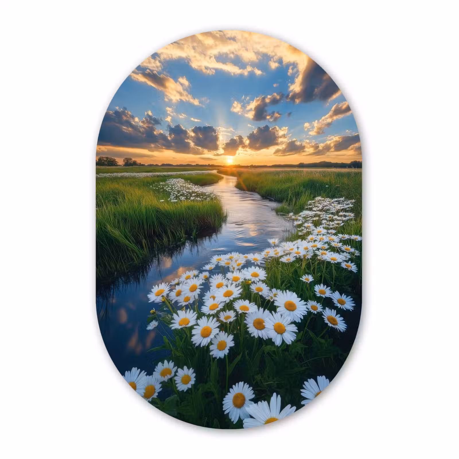 Muurovaal - Glas - Beekje - Landschap - Margriet — 1