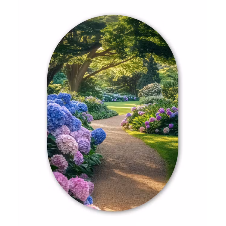 Muurovaal - Glas - Hortensia- Park - Pad — 1