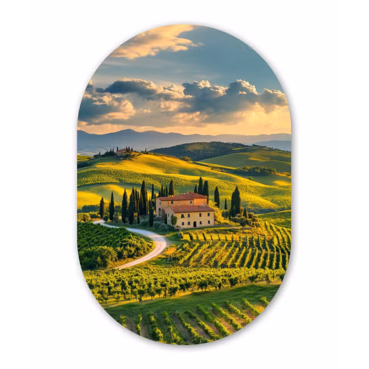 Muurovaal - Glas - Toscane - Landschap - Wijngaarden — 1