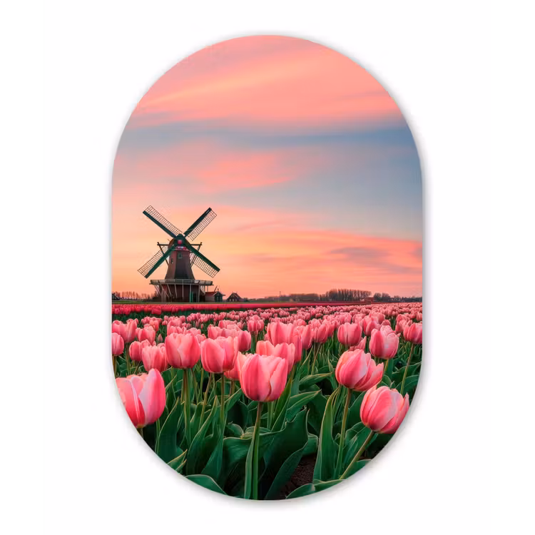 Muurovaal - Glas - Tulpen - Molen - Nederland — 1