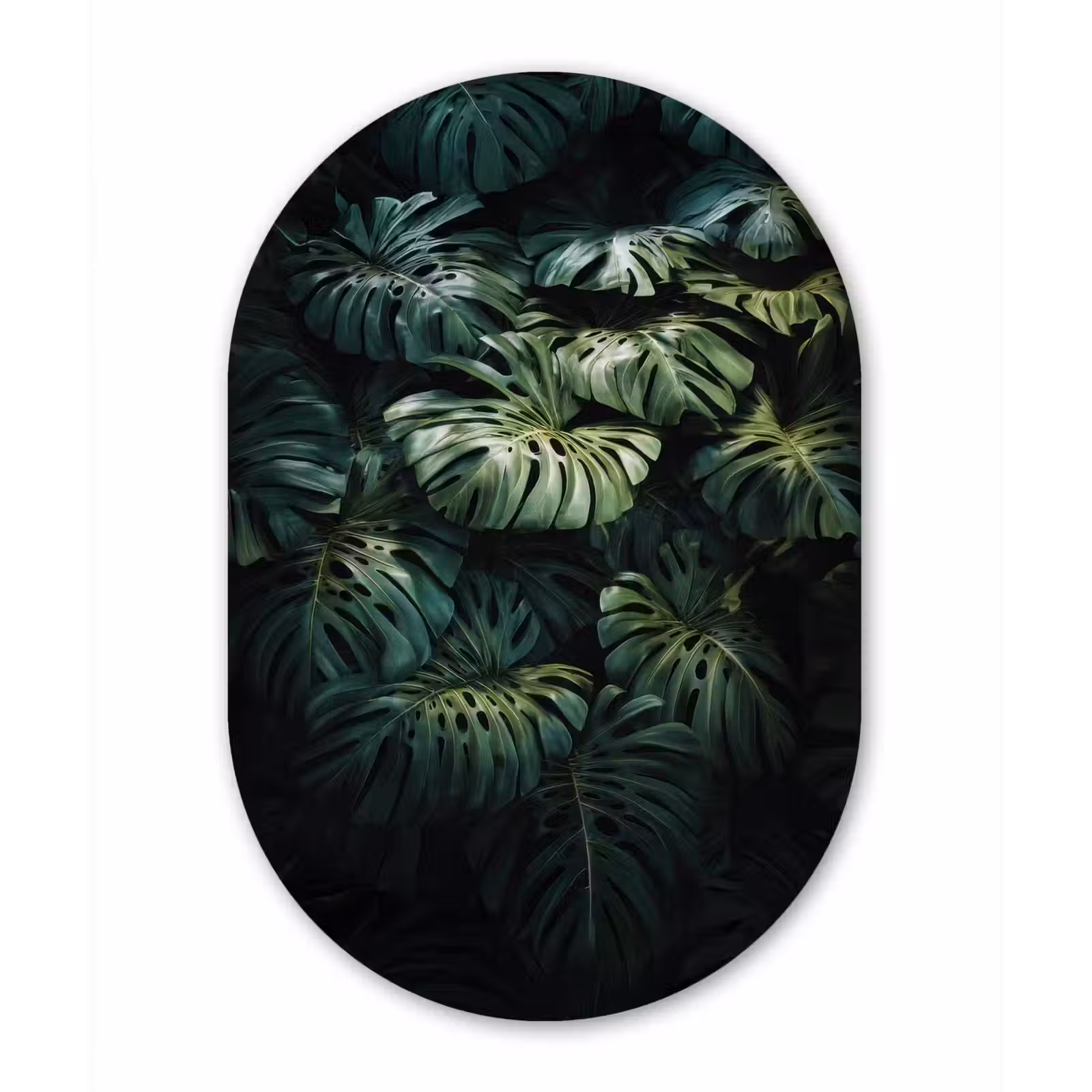 Muurovaal - Glas - Plant - Monstera - Lichtinval — 1