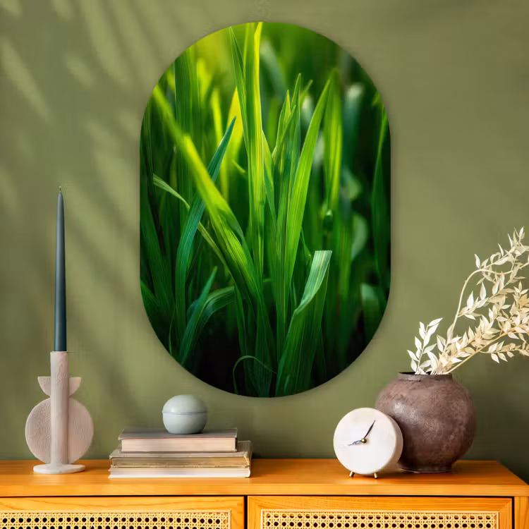 Muurovaal - Glas - Grassprieten - Lichtinval - Groen — 2