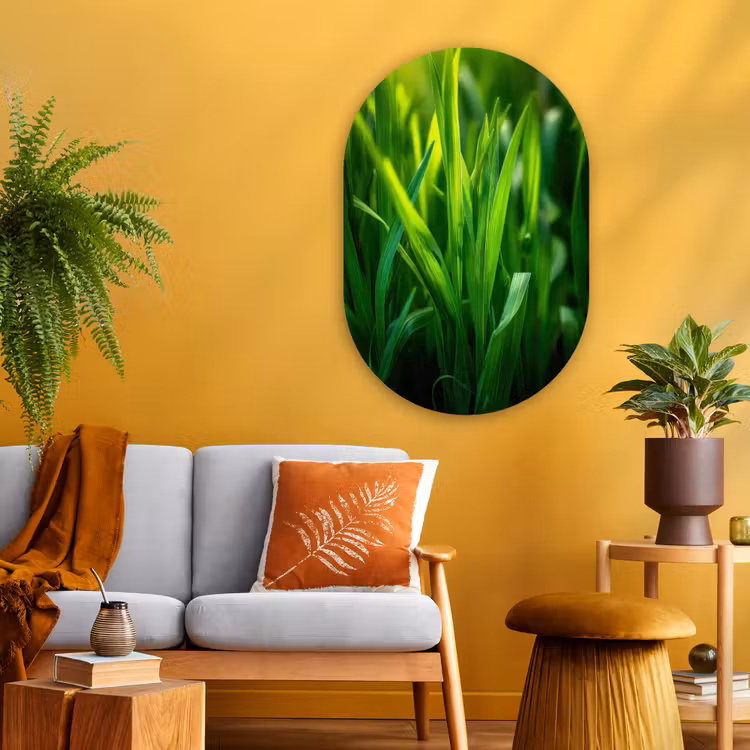 Muurovaal - Glas - Grassprieten - Lichtinval - Groen — 3