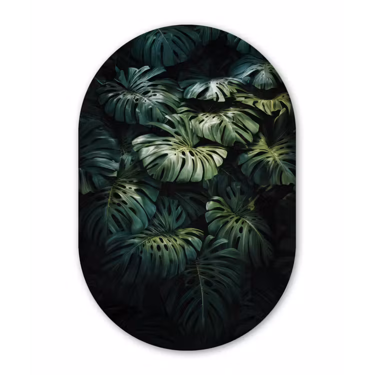 Muurovaal - Glas - Plant - Monstera - Lichtinval — 1