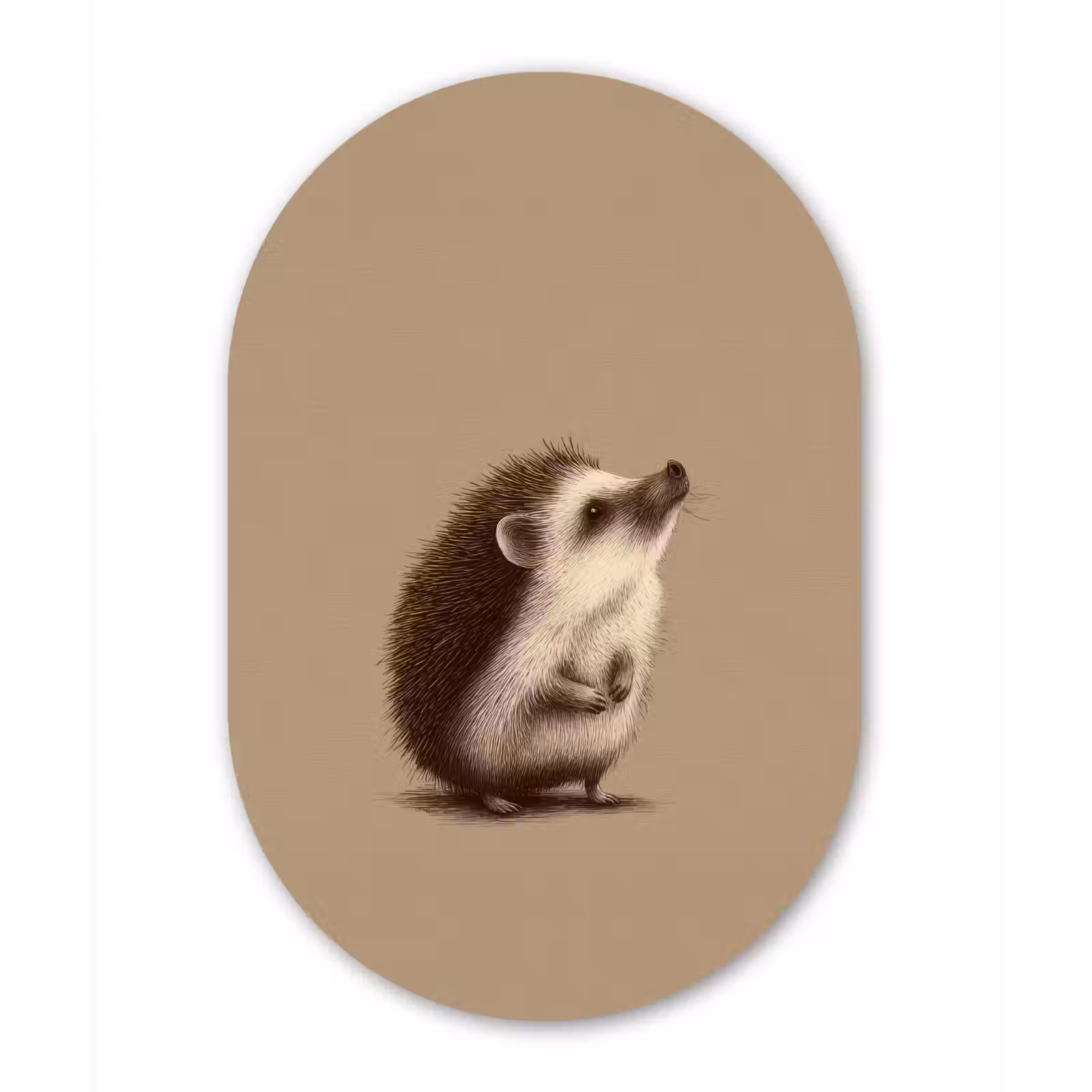 Muurovaal - Glas - Egel - Snuitje - Bruin - Stekels — 1