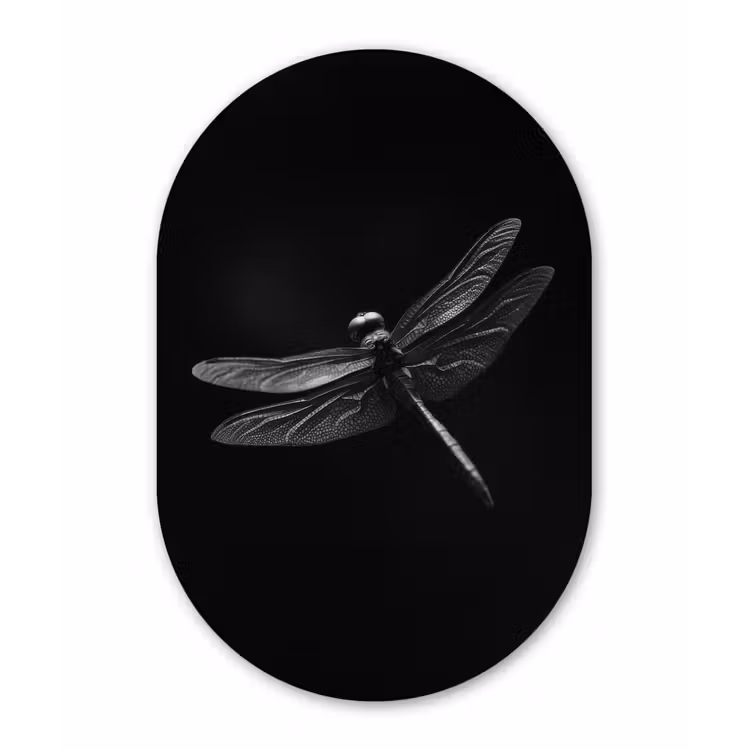 Muurovaal - Glas - Libelle - Dieren - Zwart - Insect — 1
