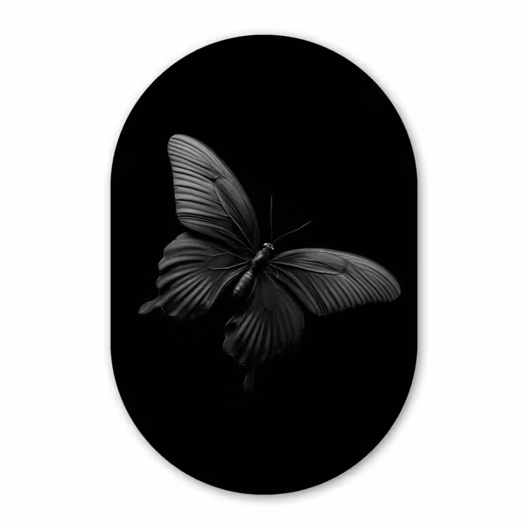 Muurovaal - Glas - Vlinder - Zwart - Insect - Dieren — 1