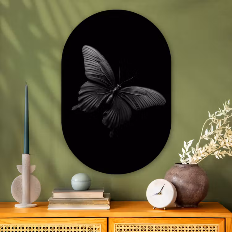 Muurovaal - Glas - Vlinder - Zwart - Insect - Dieren — 2