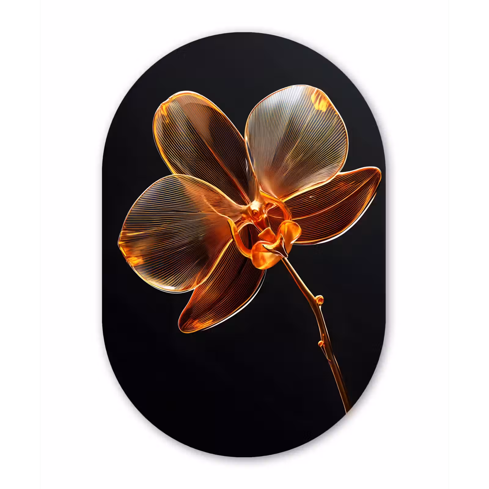 Muurovaal - Glas - Orchidee - Doorzichtig - Bloem — 1