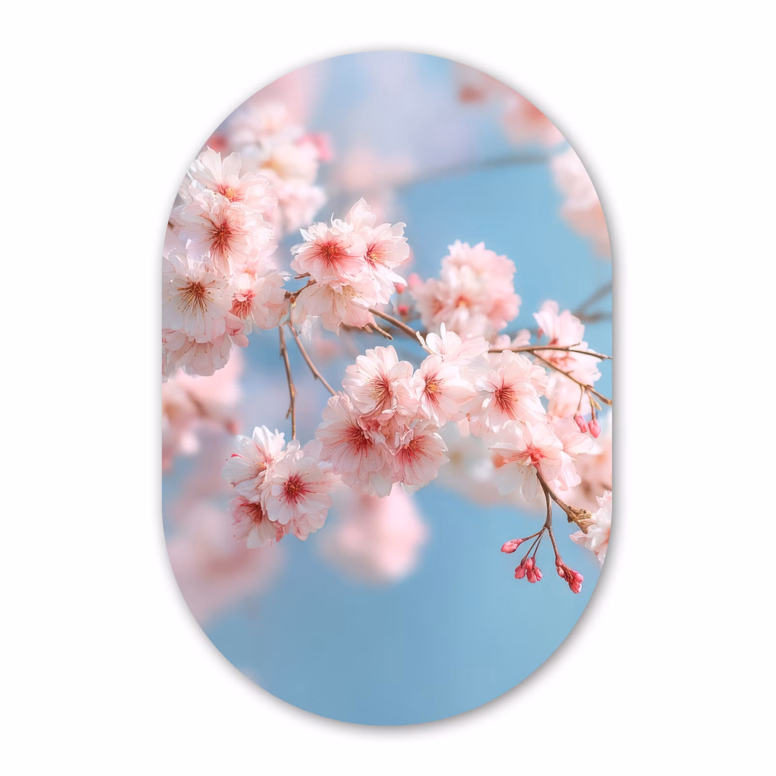 Muurovaal - Glas - Takken - Bloesems - Roze — 1