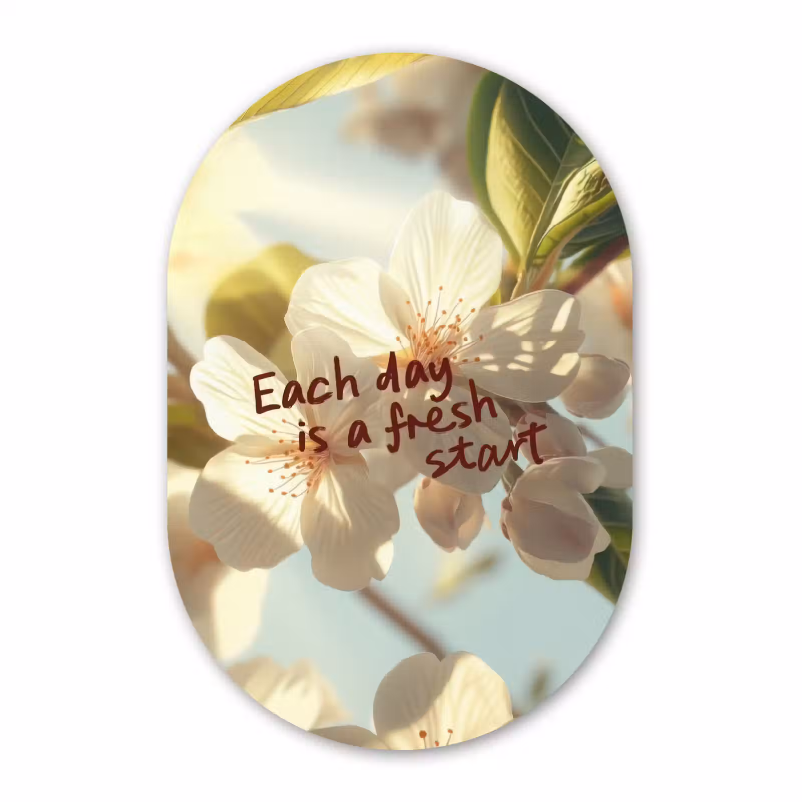 Muurovaal - Glas - Bloesems - Zonlicht - Quote - Wit — 1