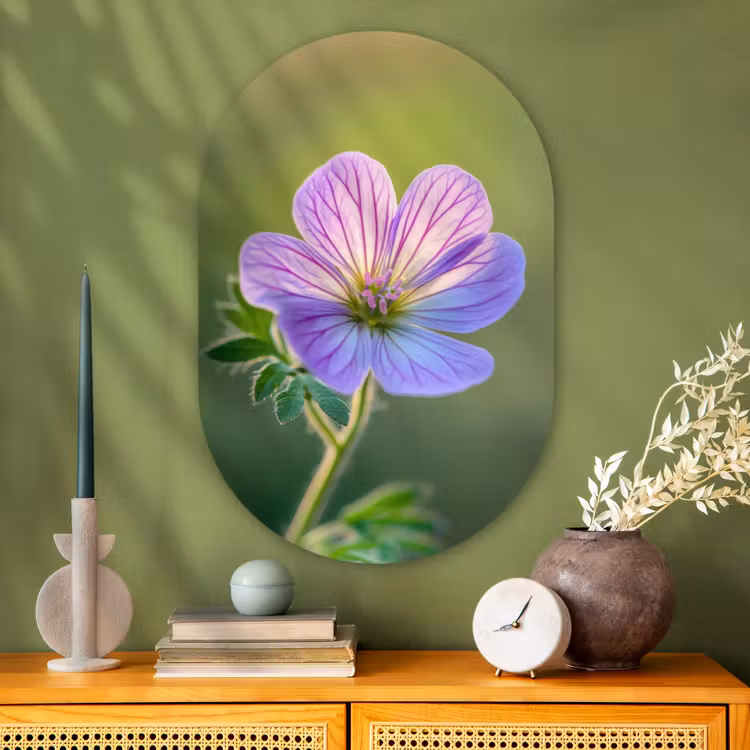 Muurovaal - Glas - Bloem - Close up - Paars — 2