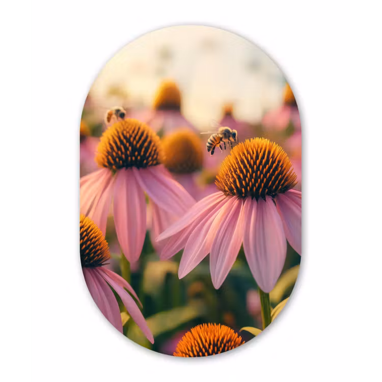 Muurovaal - Glas - Bloemen - Paars - Bijen — 1