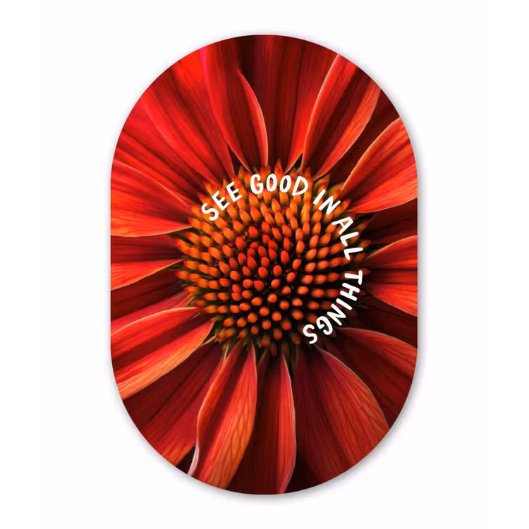 Muurovaal - Glas - Close up - Bloem - Quote - Rood — 1