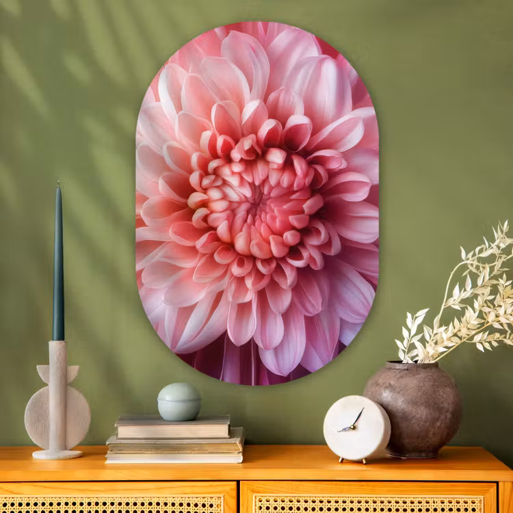 Muurovaal - Glas - Dahlia - Bloem - Close up - Roze — 2