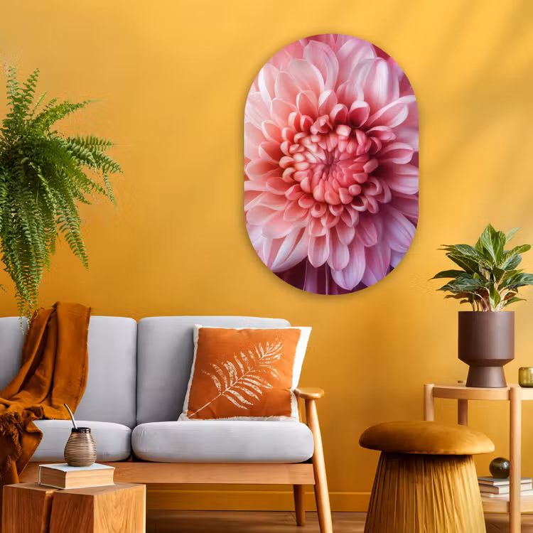 Muurovaal - Glas - Dahlia - Bloem - Close up - Roze — 3
