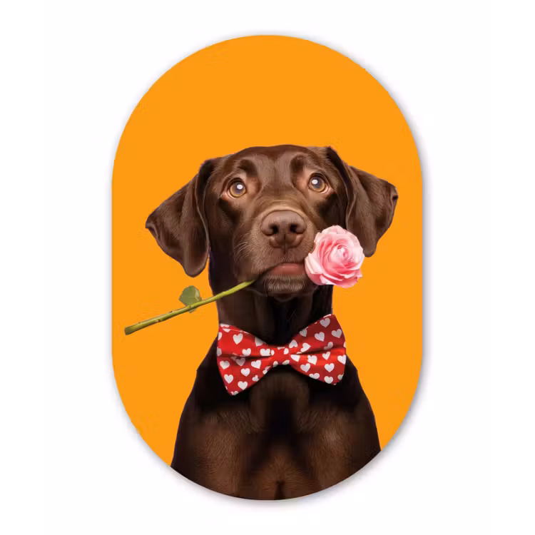 Muurovaal - Glas - Hond - Oranje - Roos - Valentijn — 1