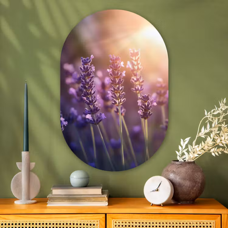 Muurovaal - Glas - Lavendelbloemen - Paars - Zonlicht — 2