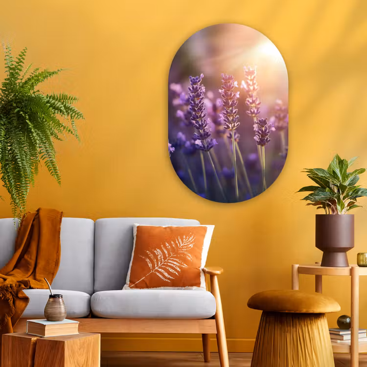 Muurovaal - Glas - Lavendelbloemen - Paars - Zonlicht — 3