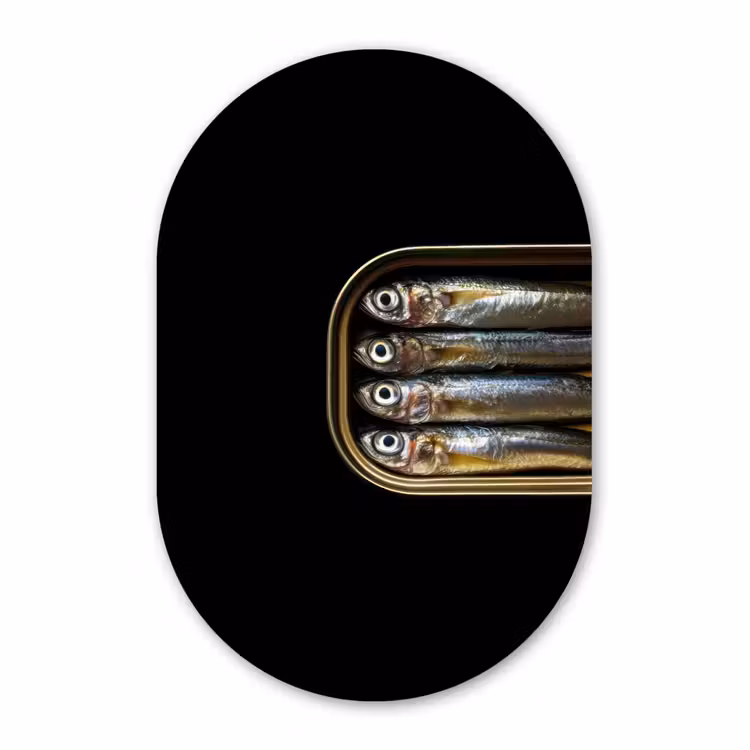 Muurovaal - Glas - Sardines - Blik - Zwart - Vissen — 1