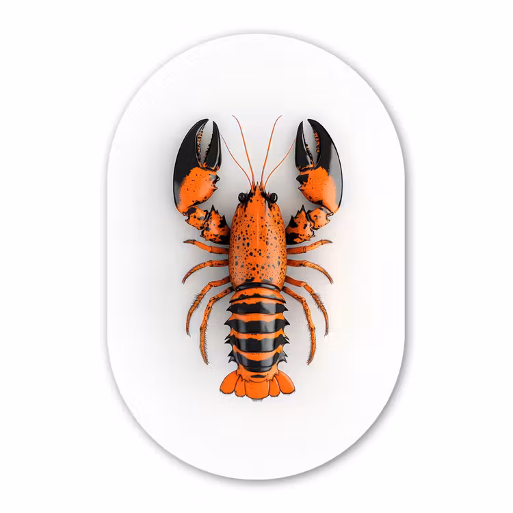 Muurovaal - Glas - Kreeft - Zwart - Oranje - Wit - Uniek — 1