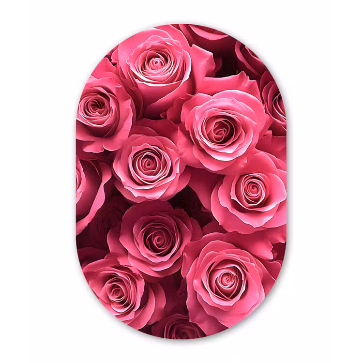 Muurovaal - Glas - Rozen - Pink - Bloem — 1