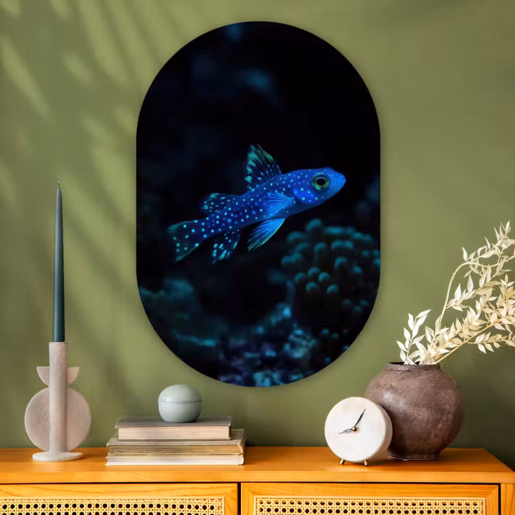 Muurovaal - Glas - Vis - Stippen - Koraal - Blauw — 2