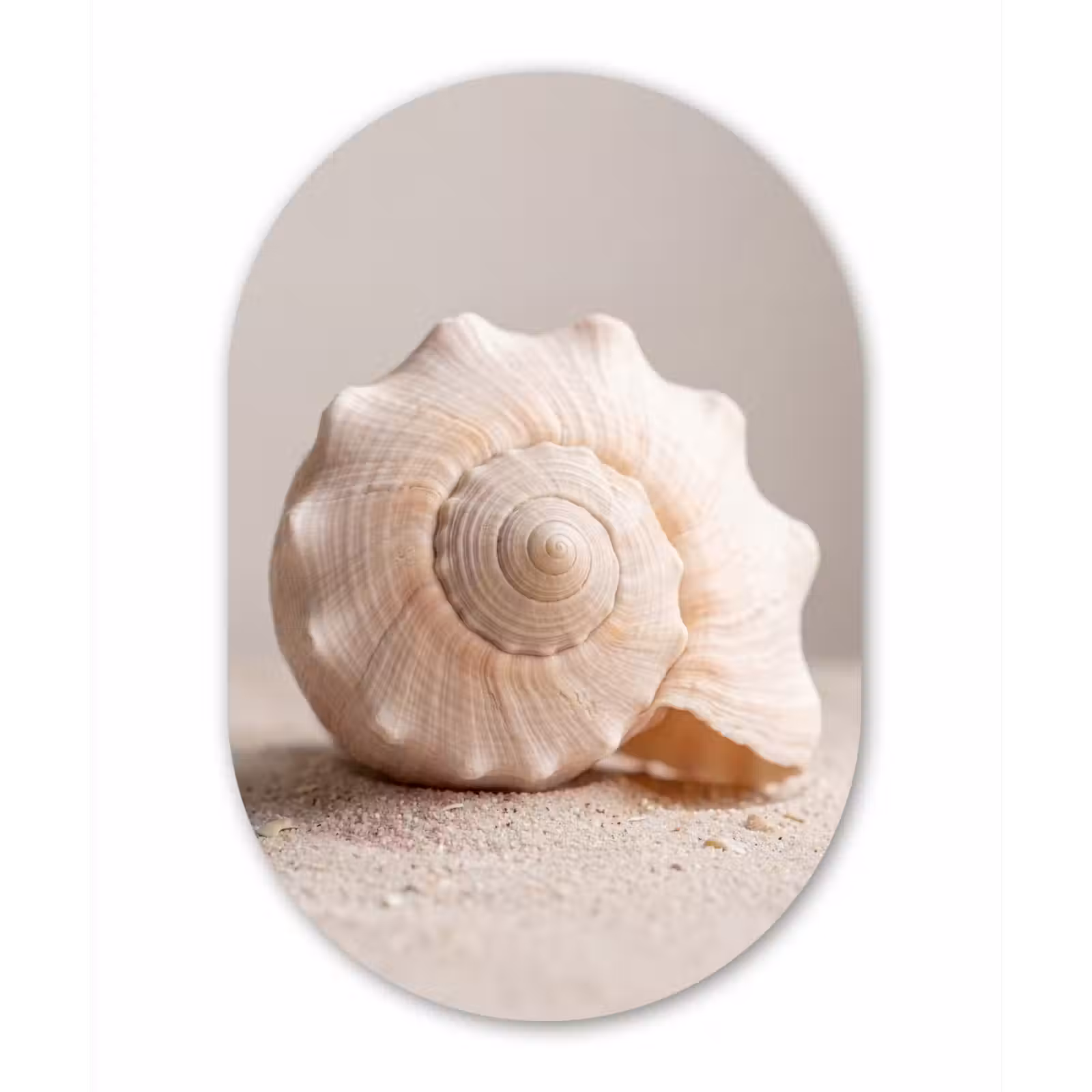Muurovaal aluminium - Schelp - Detail - Beige — 1