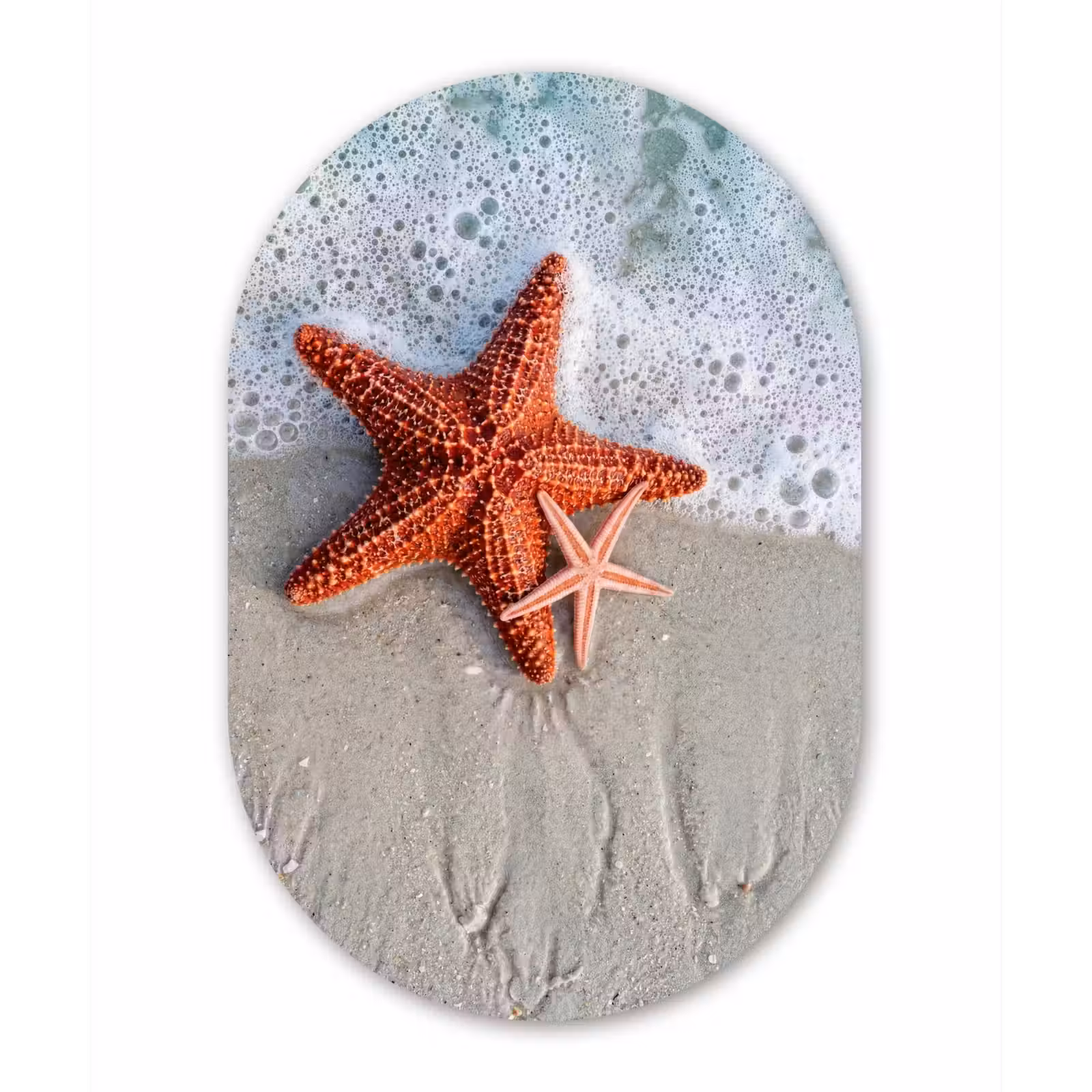 Muurovaal aluminium - Zeester - Strand - Zee — 1