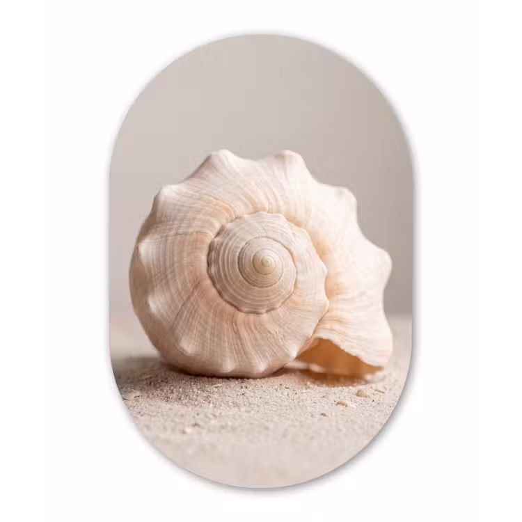 Muurovaal aluminium - Schelp - Detail - Beige — 1