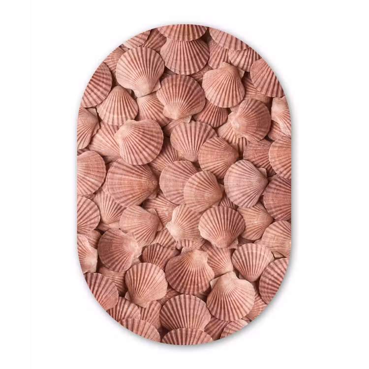 Muurovaal aluminium - Schelpen - Patroon - Roze — 1