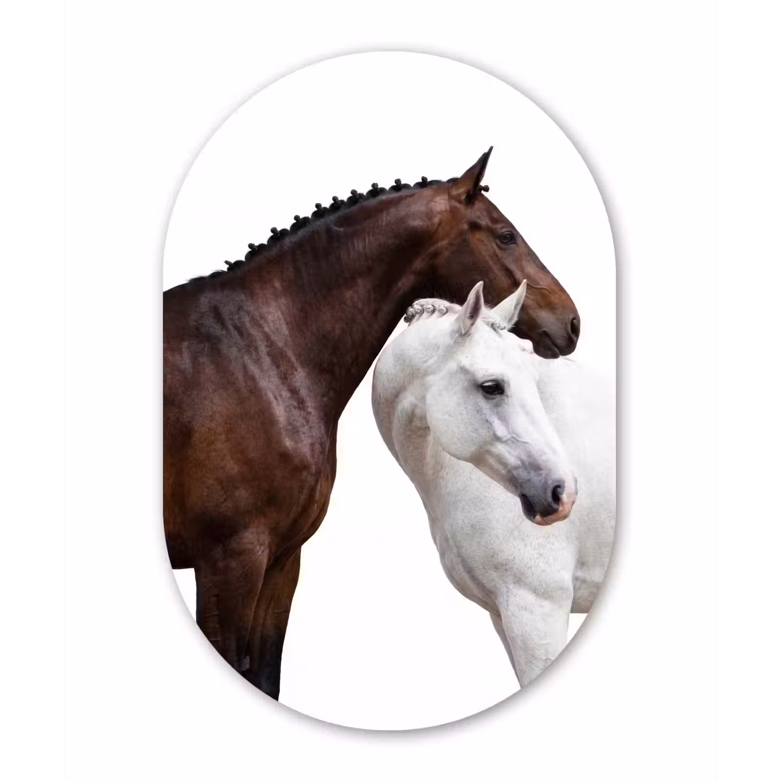 Muurovaal aluminium - Paard - Modern - Balans — 1