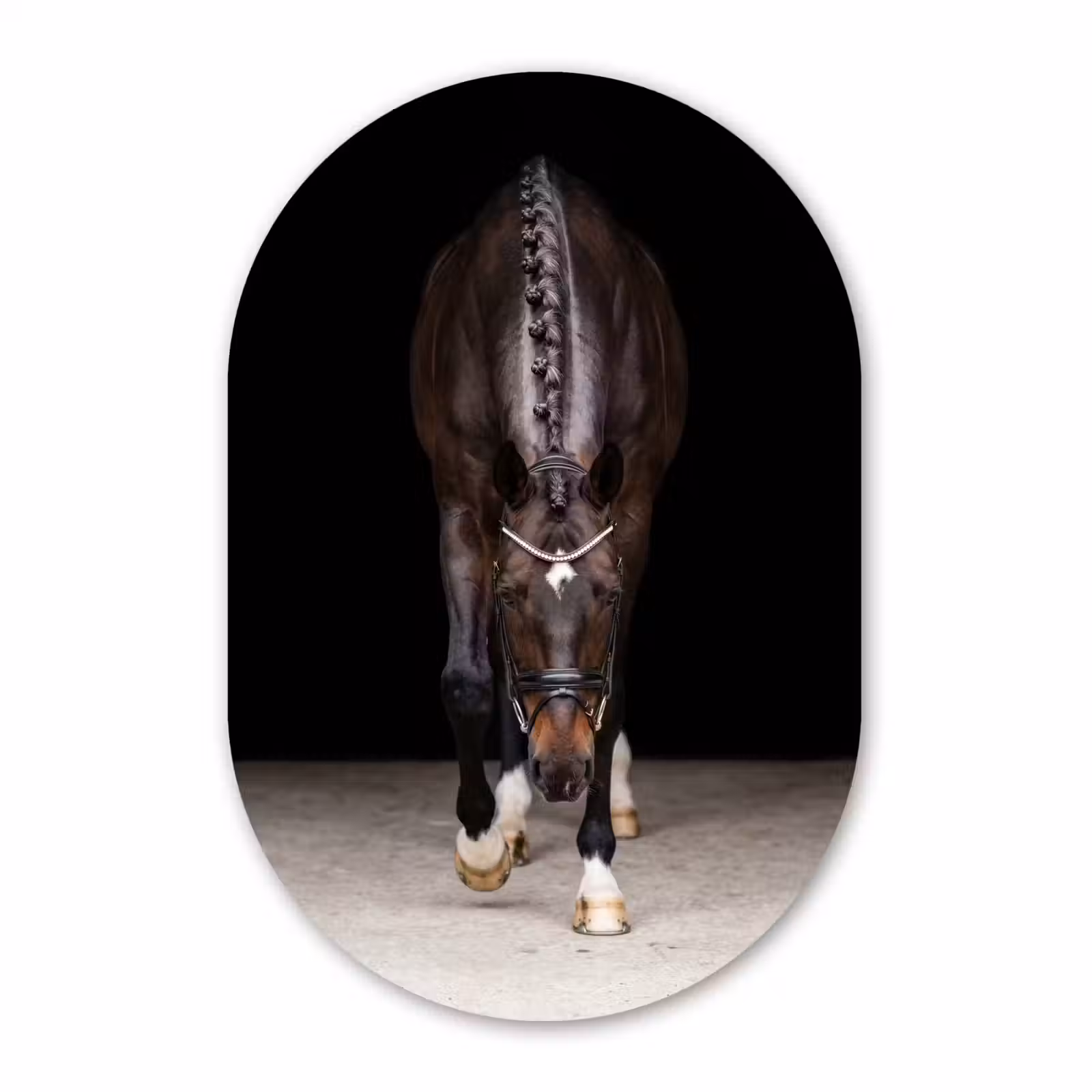 Muurovaal aluminium - Paard - Modern - Portret — 1