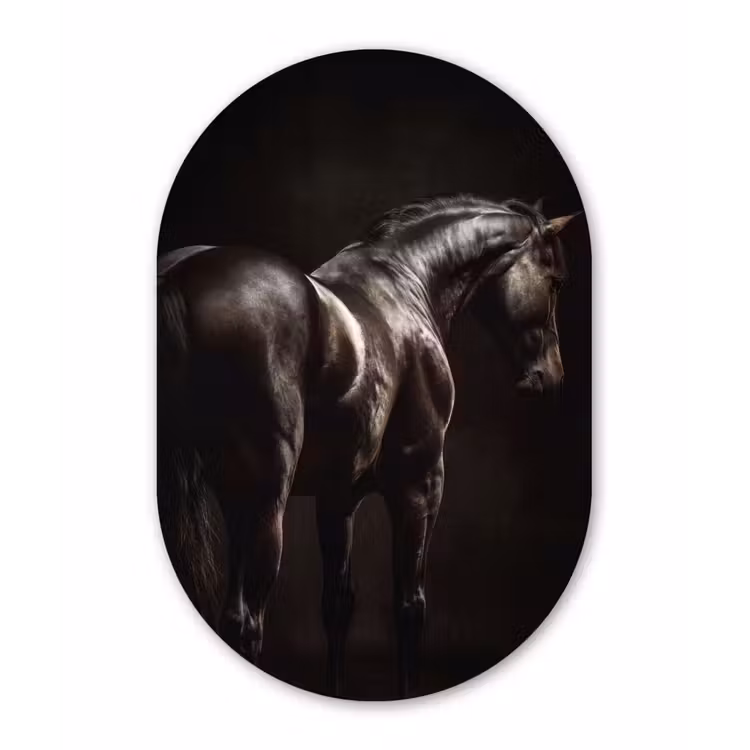 Muurovaal aluminium - Krachtig - Paard - Donker — 1