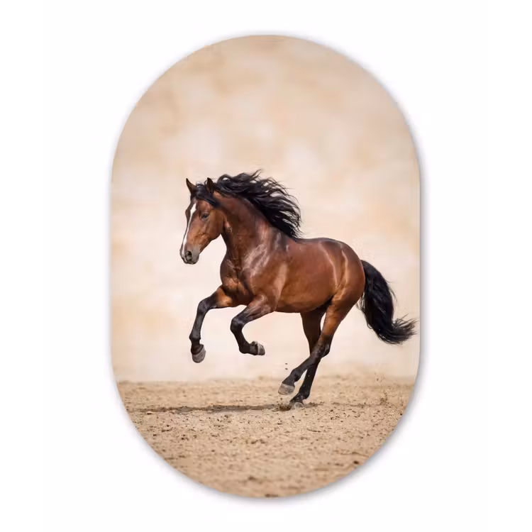 Muurovaal aluminium - Paard - Galop - Energie — 1