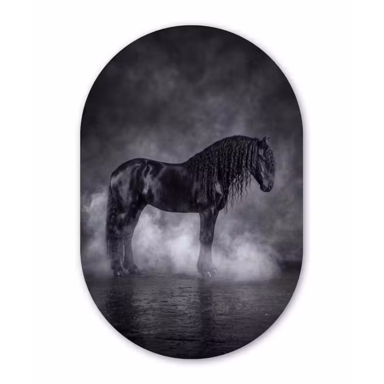 Muurovaal aluminium - Paard - Magisch - Zwart — 1