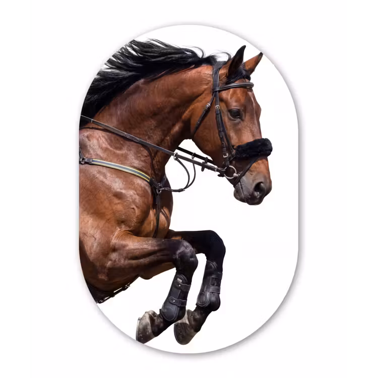 Muurovaal aluminium - Paard - Springen - Modern — 1