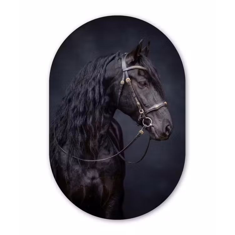 Muurovaal aluminium - Portret - Paard - Donker — 1