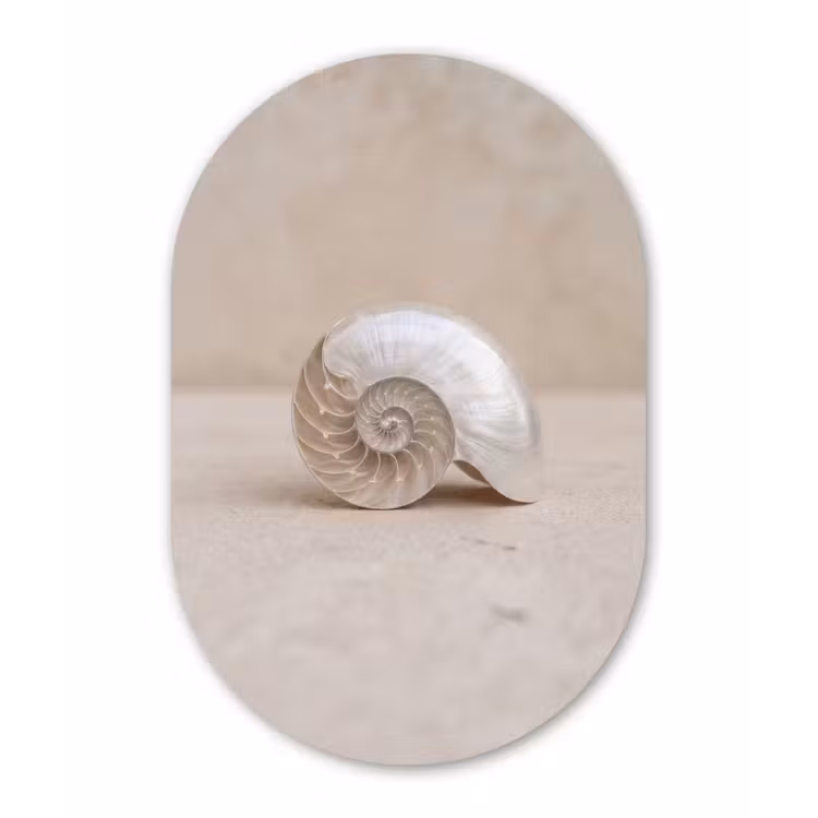 Muurovaal aluminium - Schelp - Spiraal - Beige — 1