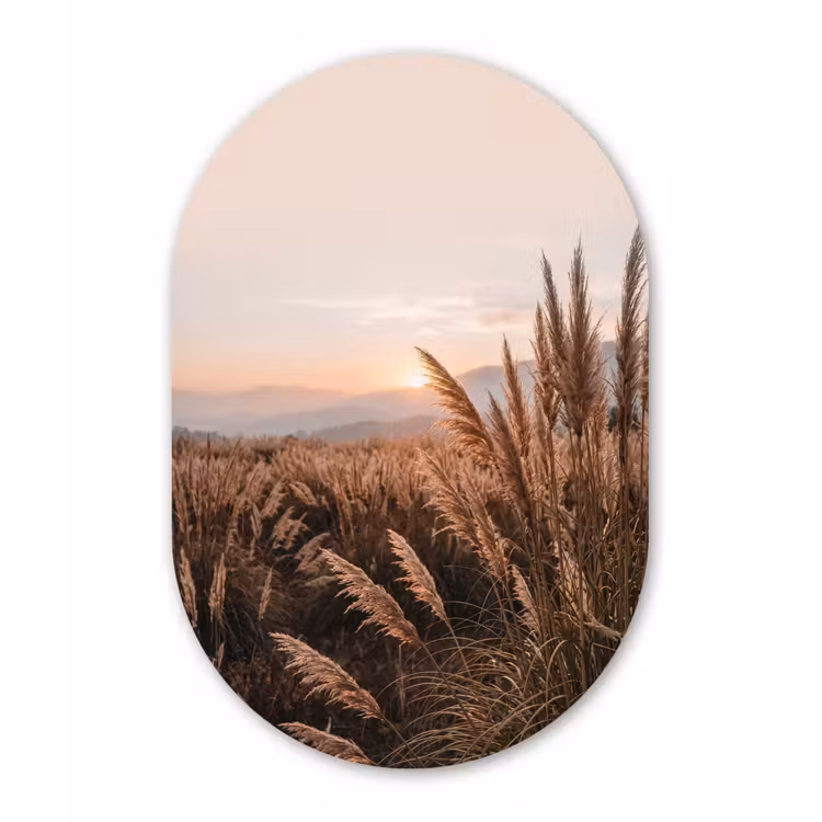 Muurovaal aluminium - Gras - Veld - Zon - Natuur — 1