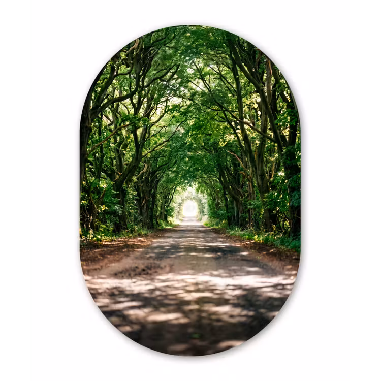 Muurovaal aluminium - Weg - Bomen - Natuur - Groen — 1